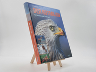 Der Rotmilan - Ein faszinierender Greifvogel 9783258074177 (ISBN-10: 3258074178)