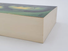 Laden Sie das Bild in den Galerie-Viewer, H. P. Lovecraft - Eine Biografie