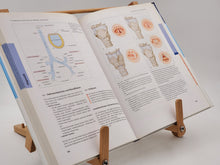 Laden Sie das Bild in den Galerie-Viewer, Traumatologie des Kopf-Hals-Bereichs