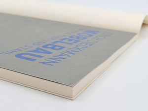 Erich Dieckmann - Möbelbau in Holz, Rohr und Stahl (Baubücher Band 11)